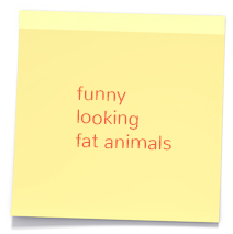 Funny looking fat animals