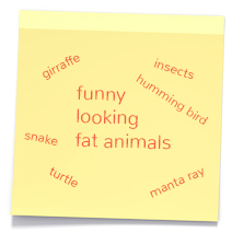 Funny looking fat animals